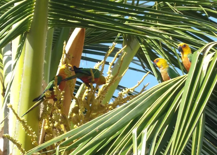 Pousada Do Ceu Maceió